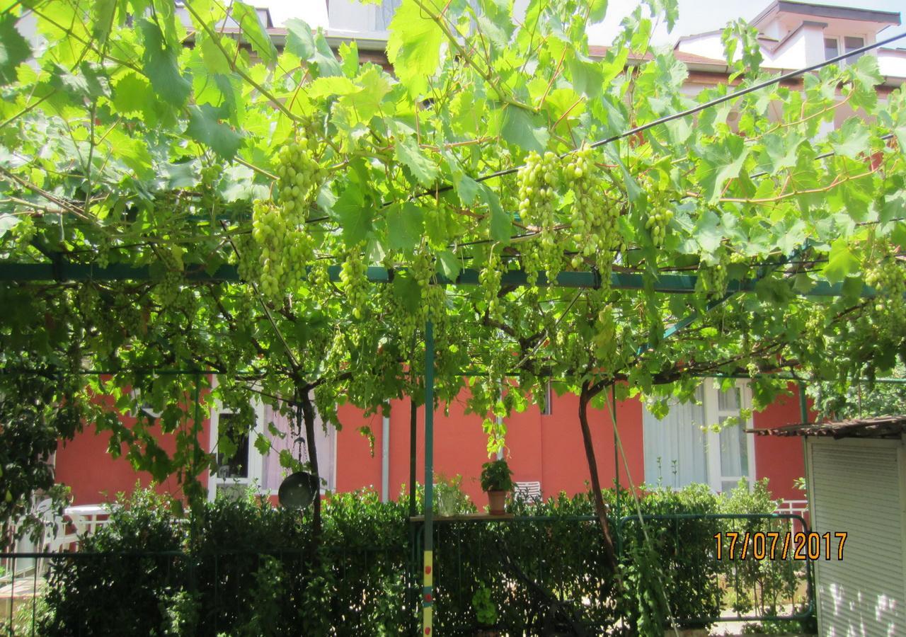 Villa Kosara Aziz Konstantin ve Elena Dış mekan fotoğraf