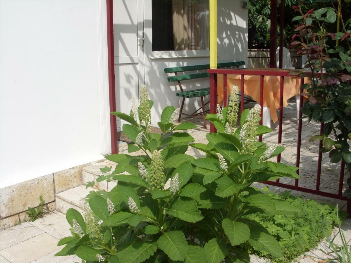Villa Kosara Aziz Konstantin ve Elena Dış mekan fotoğraf